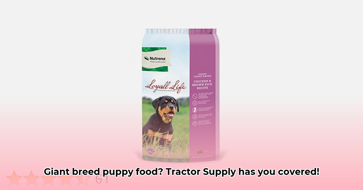 large-breed-puppy-food-tractor-supply